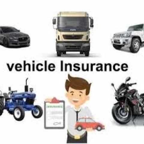 Motor Insurance